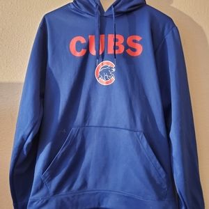 Chicago Cubs shiny hoodie